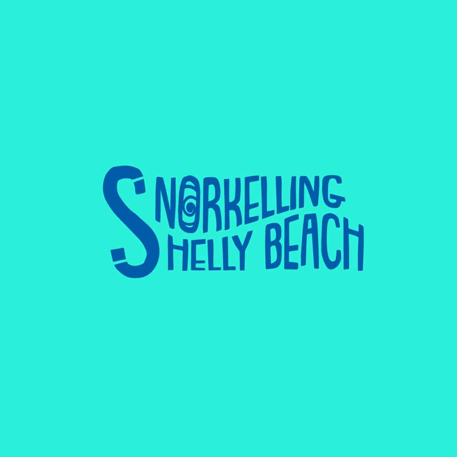 Manly Beach Guided Snorkeling Tours - Key things to know before you go