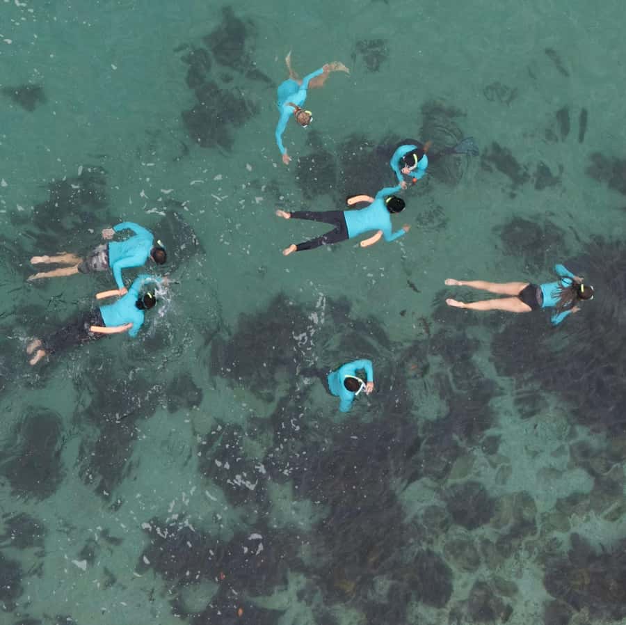 Manly Beach Guided Snorkeling Tours - Manly Beach snorkeling at Shelly Beach: built for first-timers