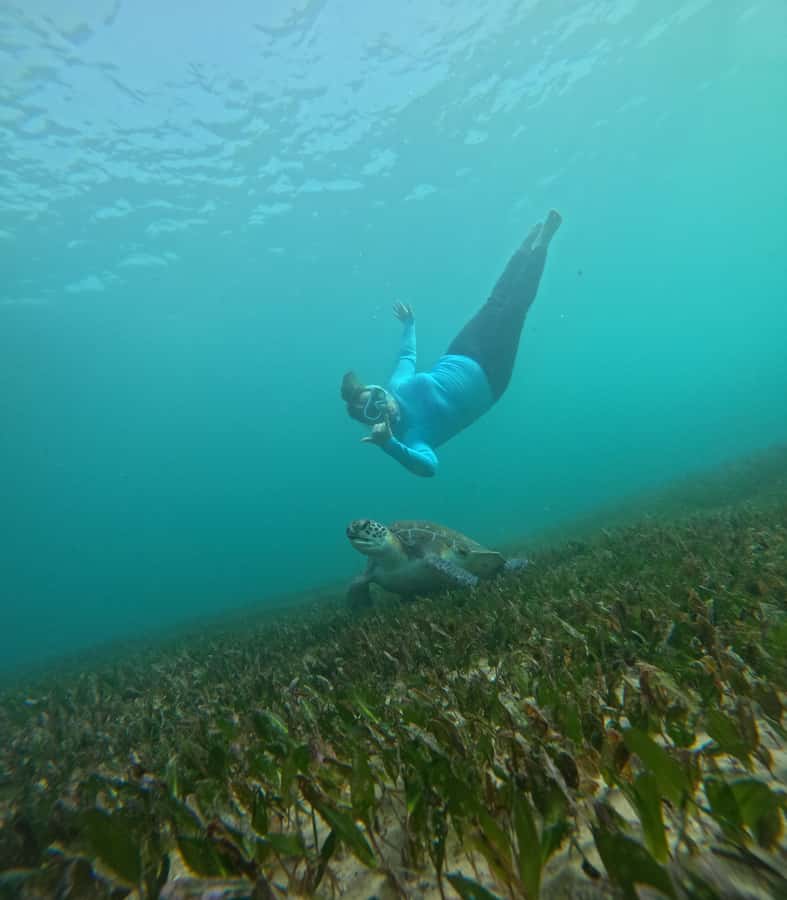 Manly Beach Guided Snorkeling Tours - Practical tips to make your snorkeling hour smoother