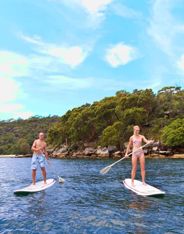 Manly Stand Up Paddle Board Hire - North Harbour conditions: what the equipment is designed to handle