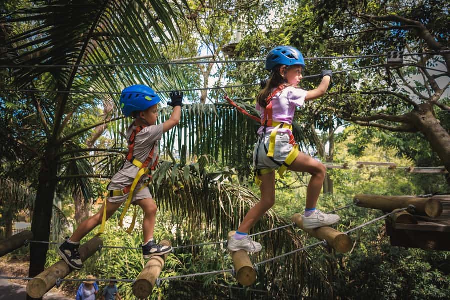 Pennant Hills: Junior Tree Ropes Course - Before you go: what to wear and what to plan
