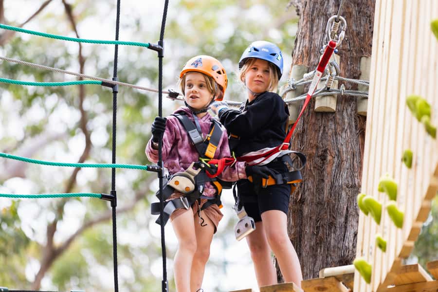Pennant Hills: Junior Tree Ropes Course - Choosing the right junior course for your child