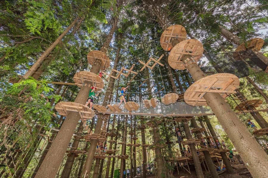 Pennant Hills: Tree Ropes Course Session - Quick hits from the Pennant Hills tree ropes session