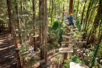 Pennant Hills: Tree Ropes Course Session - How the 150-minute session actually plays out