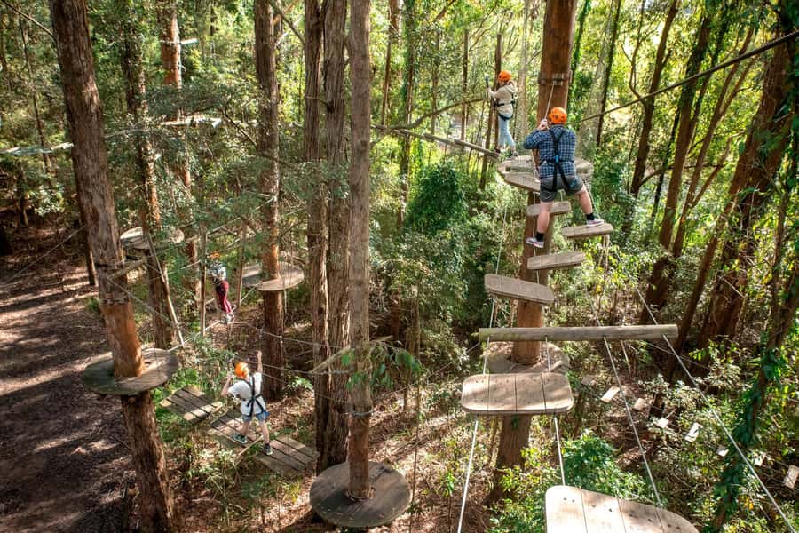 Pennant Hills: Tree Ropes Course Session - How the 150-minute session actually plays out
