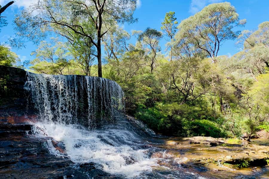 Personalised Blue Mountains Tour: Luxury Vehicles & Insights - Key Things That Make This Tour Work