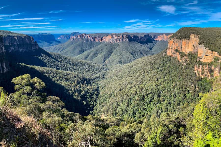 Personalised Blue Mountains Tour: Luxury Vehicles & Insights - Why This Private Blue Mountains Tour Feels Different