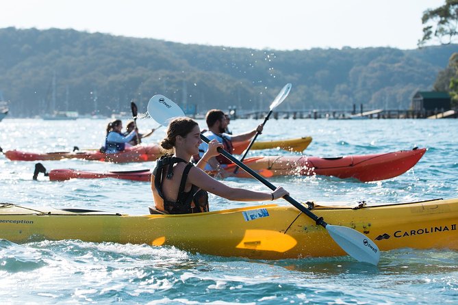 Pittwater Discovery Kayaking Tour - Key highlights (what makes this outing worth your time)