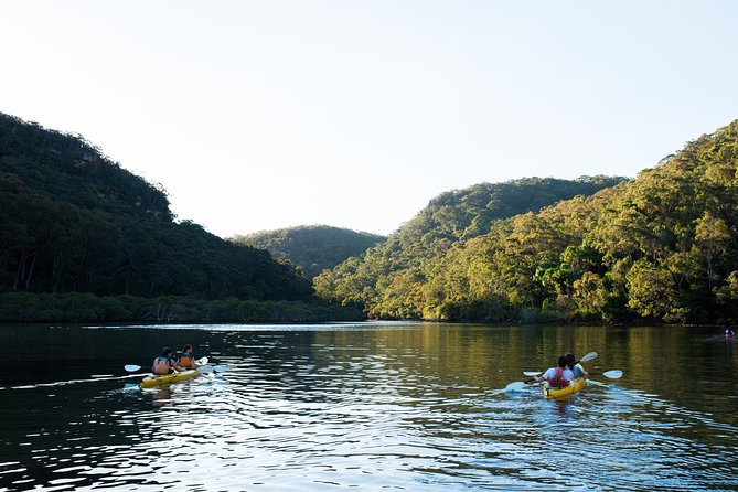 Pittwater Discovery Kayaking Tour - Kayaking the Pittwater estuary with Ku-ring-gai Chase in view