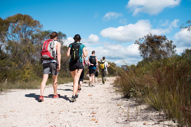 Pittwater Discovery Kayaking Tour - Lovett Bay waterfall: short bush walk, snack, and a needed change of pace