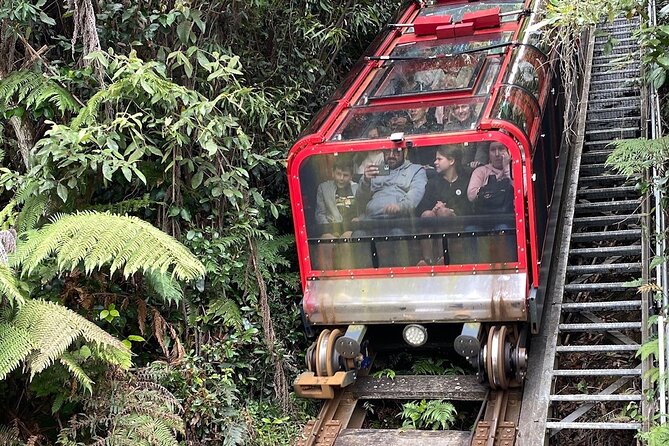 PJ Blue Mountains Supreme [Private Charter] - Sydney Zoo Stop: Open-Range Australia and a Strong Animal Warm-Up