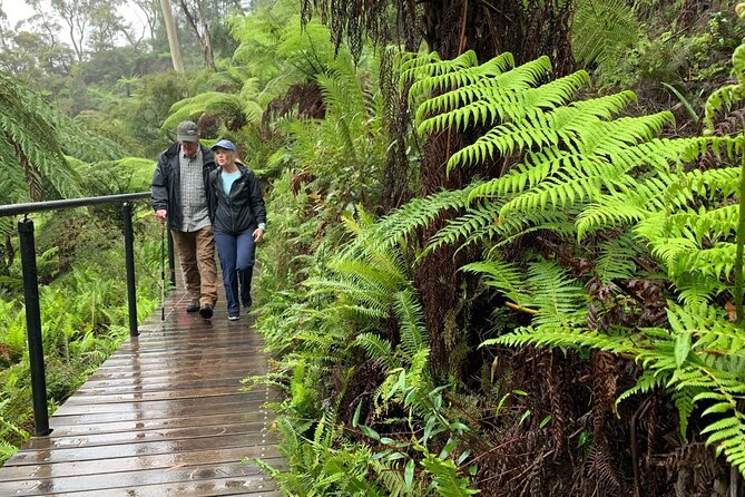 PJ Blue Mountains Supreme [Private Charter] - Echo Point Lookout and Three Sisters Dream-Time Stories
