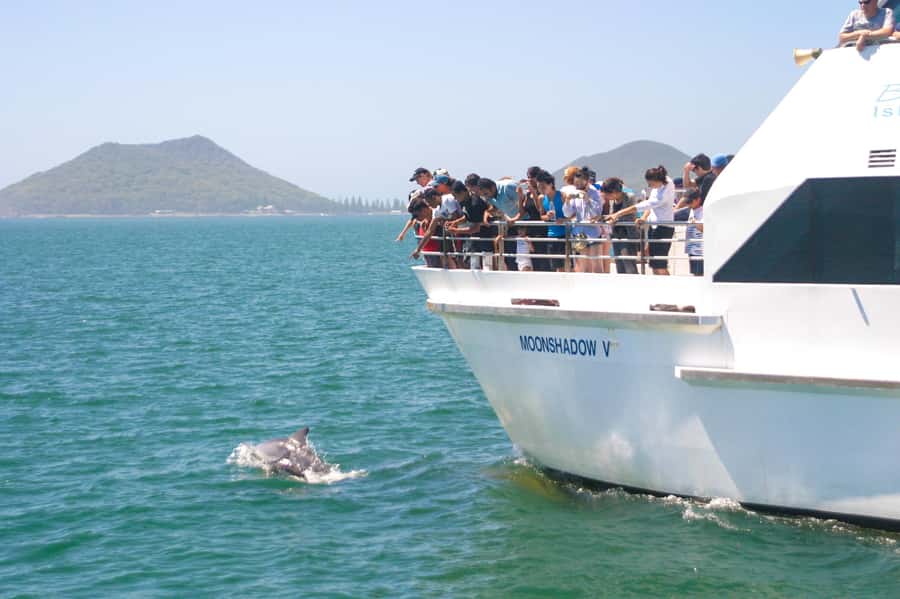 Port Stephens: Dolphin Cruise, Lunch, Koalas & Sandboarding - Key moments that make this day trip click