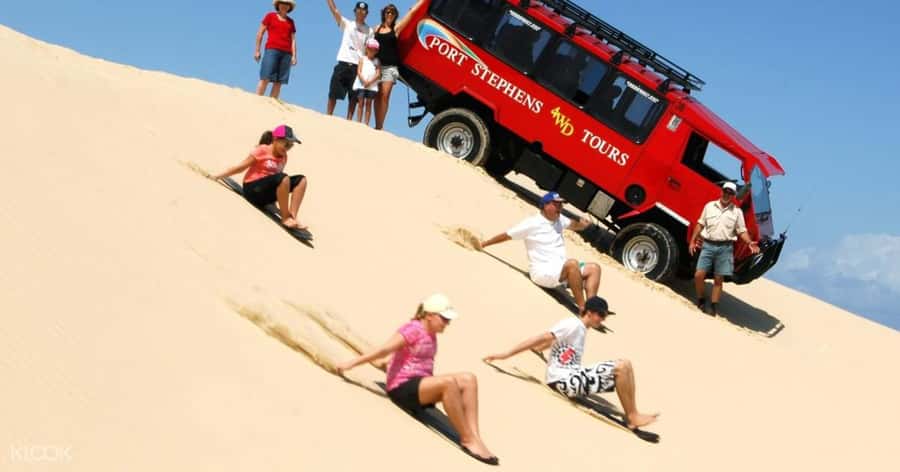 Port Stephens: Dolphin, Lunch, Koalas&Sandboarding -Mandarin - Key things to know before you book