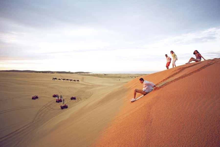 Port Stephens: Dolphin, Lunch, Koalas&Sandboarding -Mandarin - The 12-hour day trip rhythm: Sydney to Port Stephens, then back