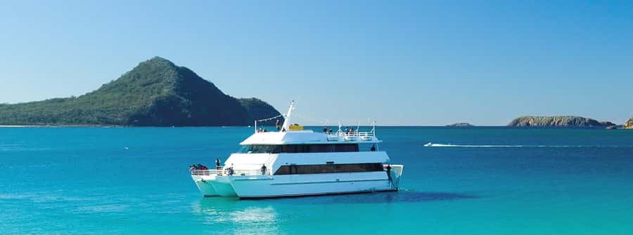 Port Stephens: Dolphin, Lunch, Koalas&Sandboarding -Mandarin - Port Stephens lunch stop: a simple reset before koalas