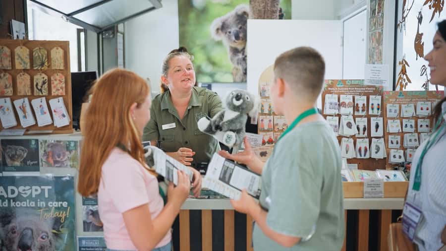 Port Stephens: Dolphin, Lunch, Koalas&Sandboarding -Mandarin - Koala Sanctuary visit: seeing koalas without the guesswork