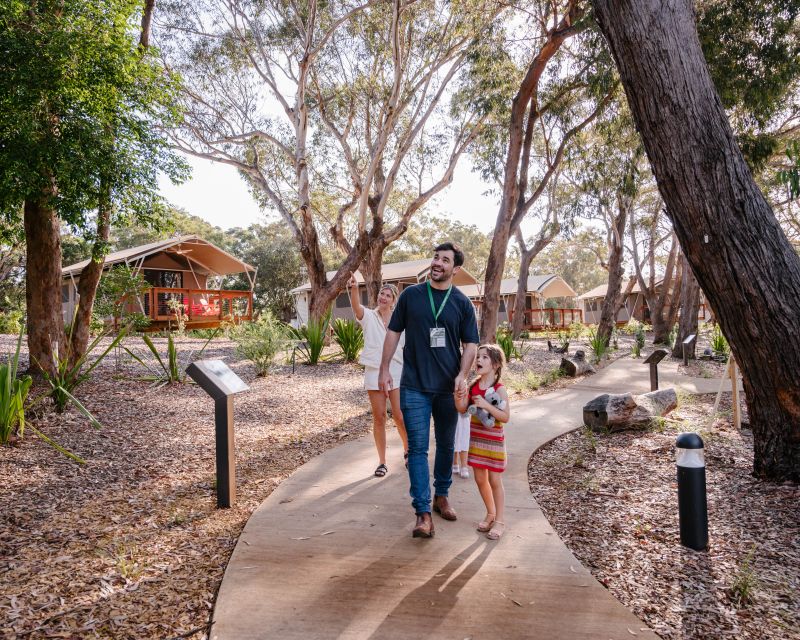 Port Stephens: Koala Sanctuary General Admission Ticket - More Than Koalas: Echidnas and brush-tail possums