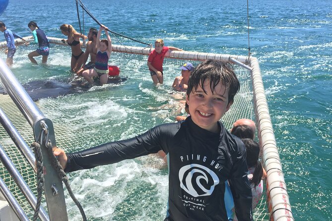 Port Stephens Private Tour From Sydney, with Dolphin/ Whale Cruise Options - Nelson Bay Dolphin Cruise: The 99% Sighting Plan