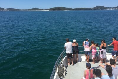 Port Stephens Private Tour From Sydney, with Dolphin/ Whale Cruise Options - The Day Flow From Sydney: Pickup, Bridge Stop, and Coast Time