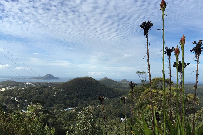 Port Stephens Private Tour From Sydney, with Dolphin/ Whale Cruise Options - Gan Gan Lookout: Quick Stop, Big Views