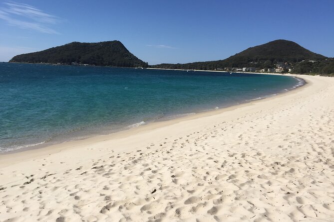 Port Stephens Private Tour From Sydney, with Dolphin/ Whale Cruise Options - Lunch at Nelson Bay Bowling and Recreation Club: Plan Your Food