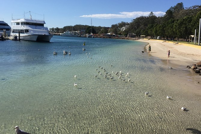 Port Stephens Private Tour From Sydney, with Dolphin/ Whale Cruise Options - Stockton Sand Dunes and Sandboarding: The Optional Thrill