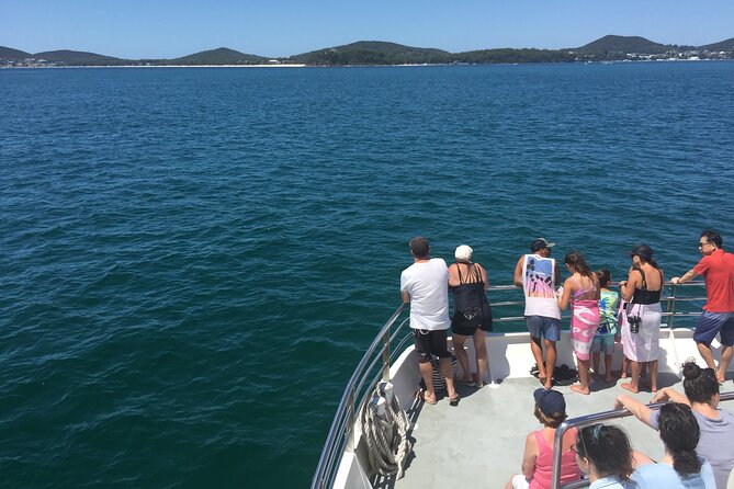 Port Stephens Private Tour From Sydney, with Dolphin/ Whale Cruise Options - The Day Flow From Sydney: Pickup, Bridge Stop, and Coast Time