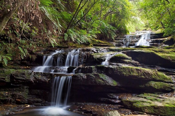 Private All Blue Mountains Day Tour - Echo Point and Cahill’s Lookout: where the photos happen