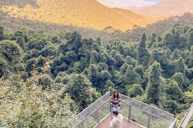 Private All Blue Mountains Day Tour - Blue Mountains lookouts: stacking views without running yourself ragged