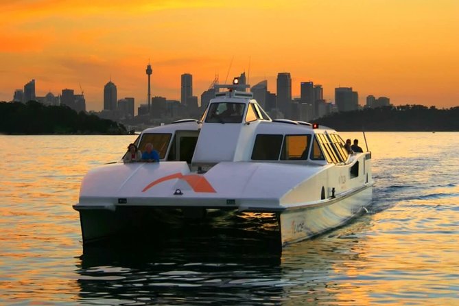 Private All Blue Mountains Day Tour - Weather, time, and how to make this day work
