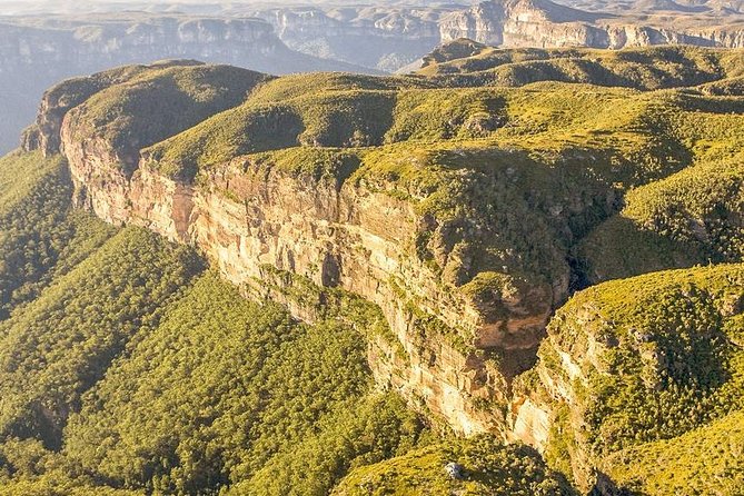 Private All Blue Mountains Day Tour - Who should book this Blue Mountains private tour?