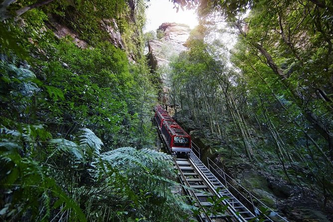 Private All Blue Mountains Day Tour - Leura and the Scenic World trade-off