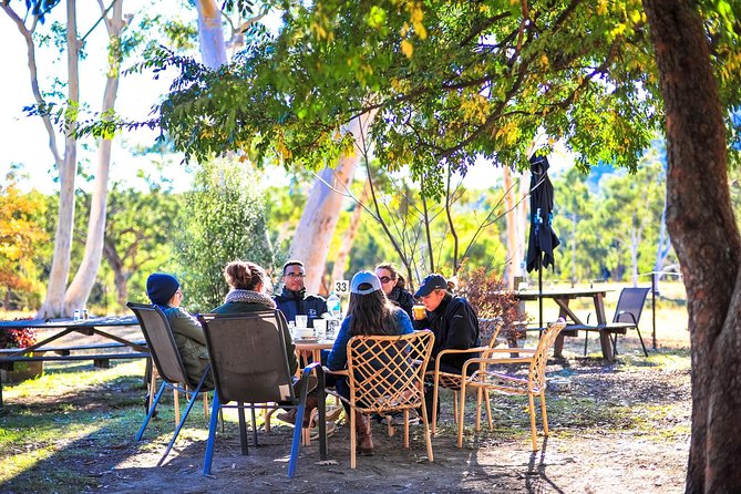 Private Blue Mountains and Winery Day-Trip from Sydney - Wentworth Falls Lookout: when the waterfall is the star