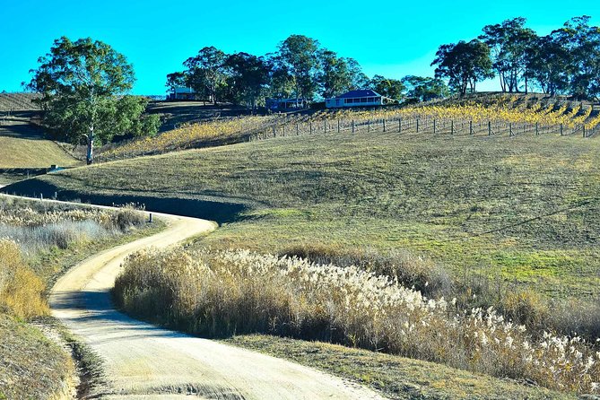 Private Blue Mountains and Winery Day-Trip from Sydney - Three Sisters and the Grose Valley photo moments