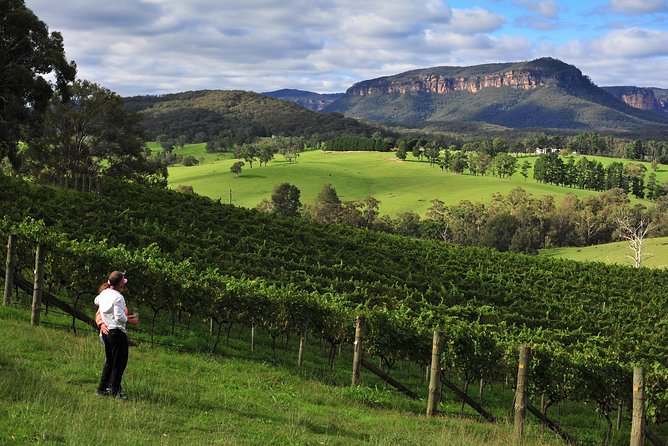 Private Blue Mountains and Winery Day-Trip from Sydney - Price and value: $1,595 per group sounds steep until you do the math