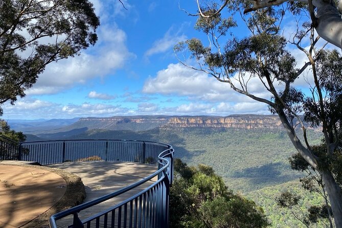 Private Blue Mountains Day Tour (avoid the crowds) - Scenic World on your terms: cableway, steepest railway, and Skyway