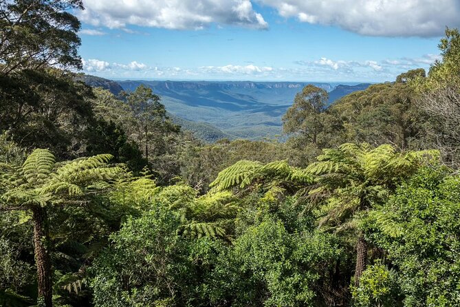 Private Blue Mountains Day Tour (avoid the crowds) - Featherdale wildlife add-on versus a calmer bush-focused day