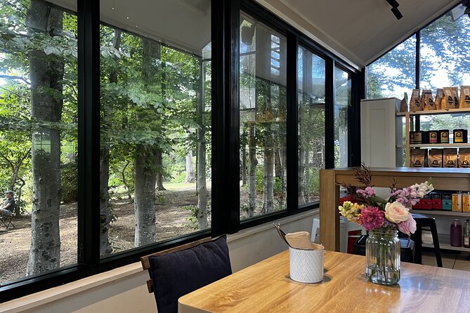 Private Blue Mountains Day Tour (avoid the crowds) - Who this tour suits best (and who might rethink it)