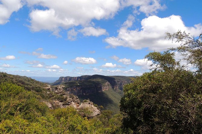 Private Blue Mountains Insider Tour from Sydney - Featherdale Wildlife Park: kangaroos, koalas, and a hands-on feel