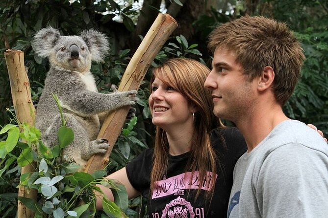 PRIVATE Blue Mountains Scenic World Australian Wildlife & Cruise - Key highlights before you go