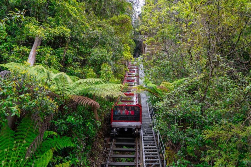 Private Blue Mountains, Scenic World & Wentworth Falls Tour - Katoomba Falls, Boar’s Head, and Cahill’s Lookout: finishing with big viewpoints