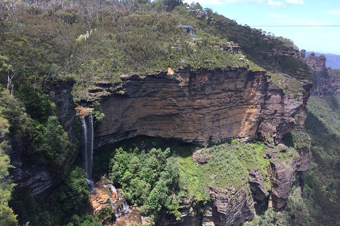PRIVATE Blue Mountains tour & Koalas, Kangaroos, Cruise plus more - Quick Take: what makes this tour work