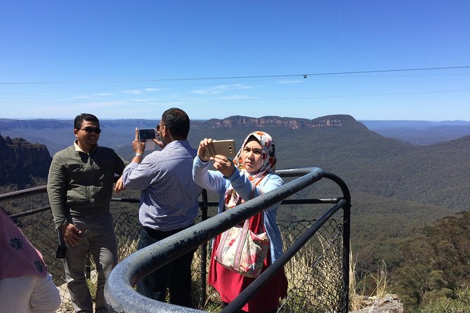 PRIVATE Blue Mountains tour & Koalas, Kangaroos, Cruise plus more - Koalas and kangaroos at Sydney Zoo: the wildlife payoff