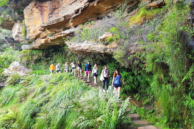 PRIVATE Blue Mountains Tour, Wildlife Park and River Cruise - Scenic World Stop: Photos, Souvenirs, and a Breather