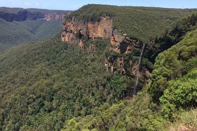 PRIVATE Blue Mountains Tour with Expert Guide - Echo Point and the Canyon Views: Where the Photos Start to Make Sense