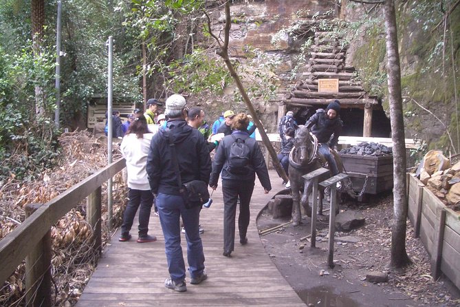 PRIVATE Blue Mountains Tour with Expert Guide - Wentworth Falls: Short Stop, Good Payoff