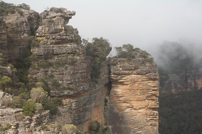 PRIVATE Blue Mountains Tour with Expert Guide - Australia’s Grand Canyon-Style Views and Boars Head Rock