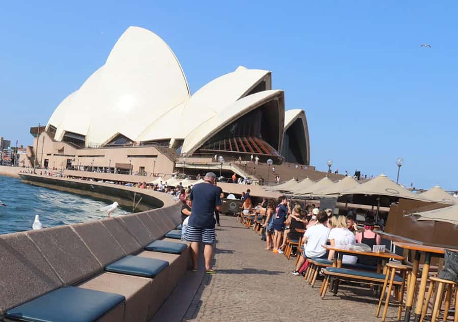 Private Half Day Sydney City Tour - How the 4-hour private format works (and why it matters)