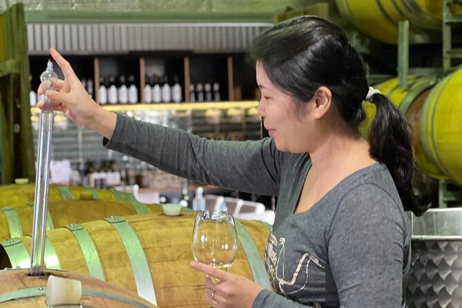 Private Hunter Valley Luxury Tour From Sydney - Lunch Options in Hunter Valley: What’s Missing and How to Handle It